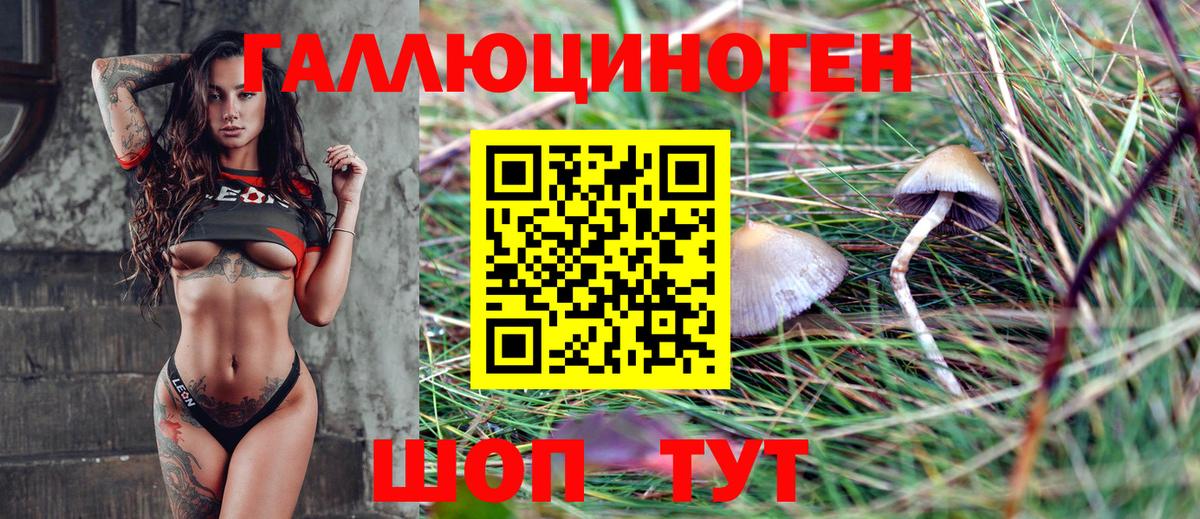Галлюциногенные грибы MAGIC MUSHROOMS Тында