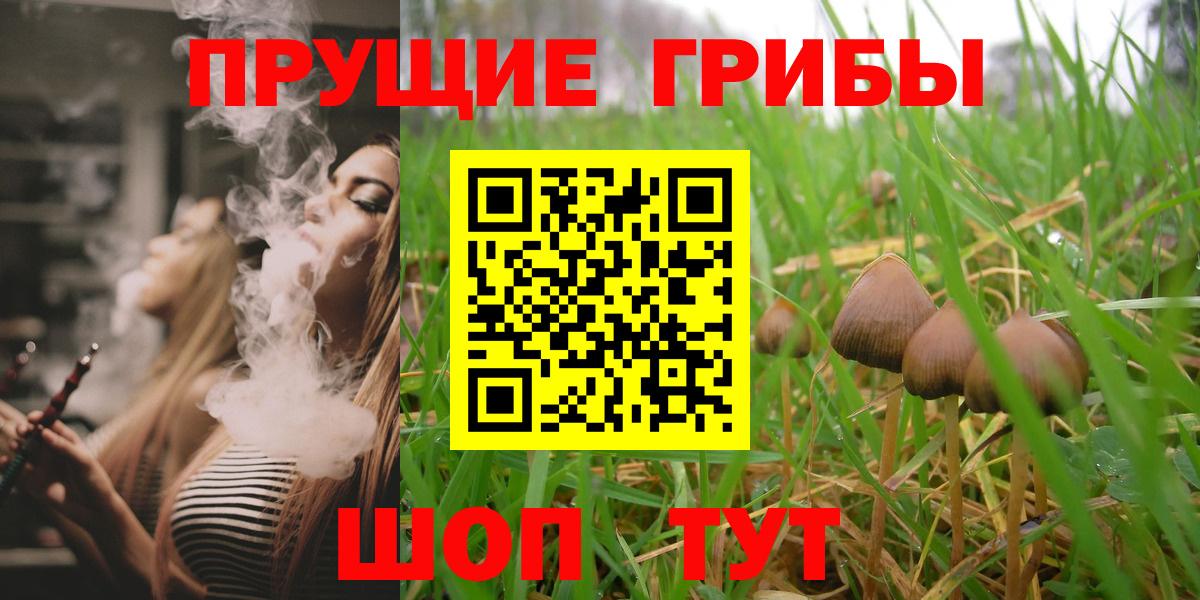 Псилоцибиновые грибы GOLDEN TEACHER  Галлюциногенные грибы Psilocybe  Тында  Вход с VPN 