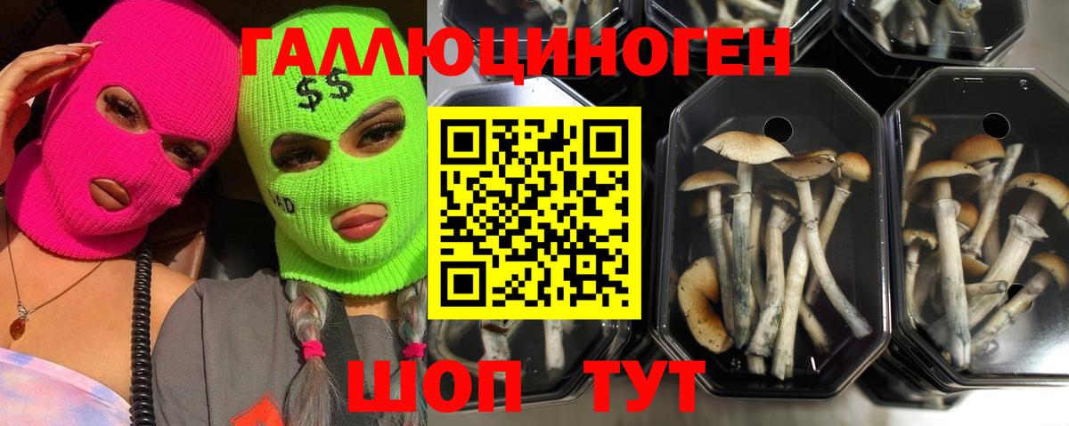 А ПВП Тында