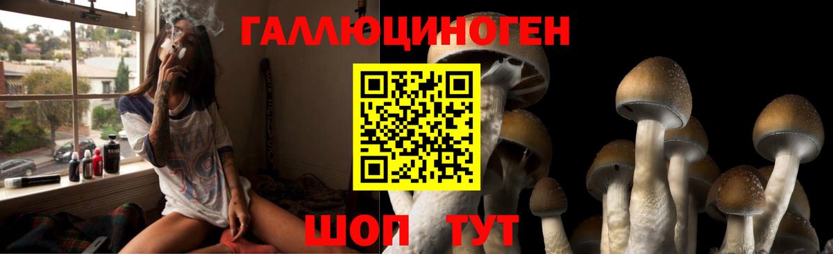 Псилоцибиновые грибы ЛСД Тында